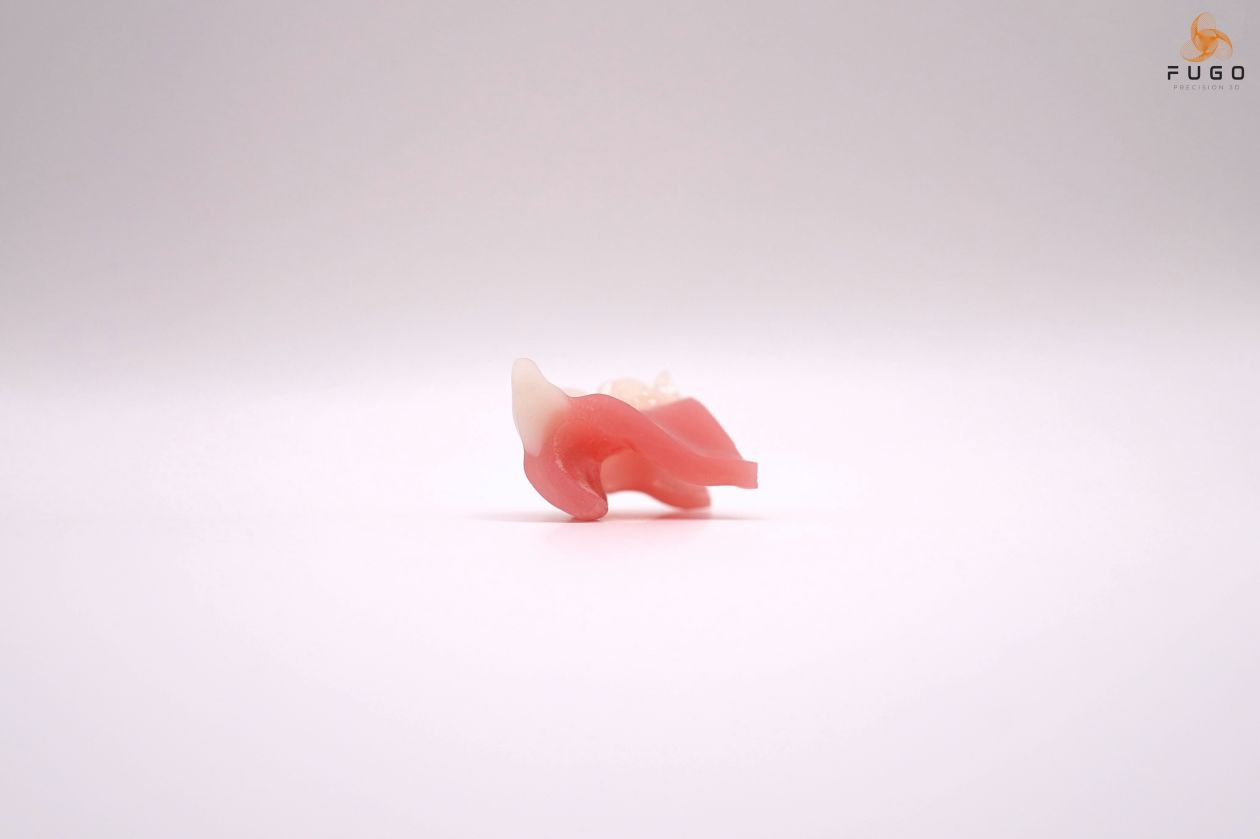 monolithic denture cross section